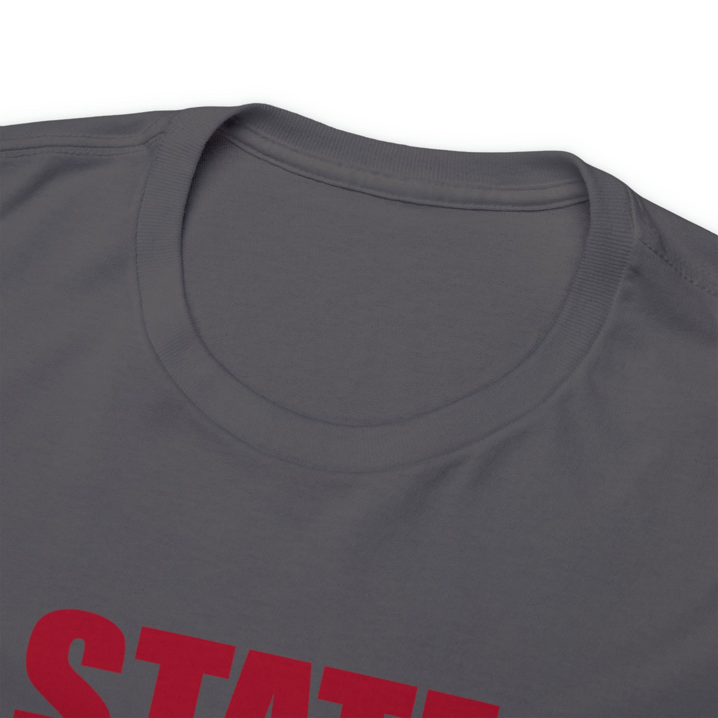 Illinois State Bound, Red Logo, Unisex Heavy Cotton Tee